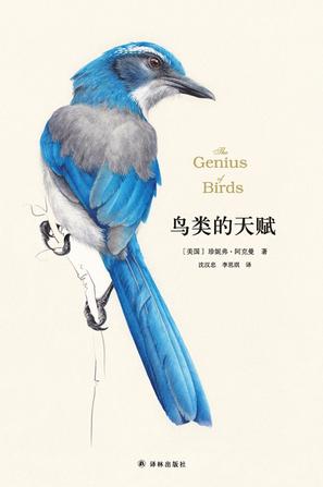 鸟类的天赋图书封面