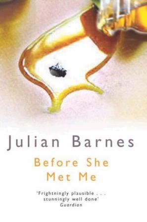 Before She Met Me (Picador Books)