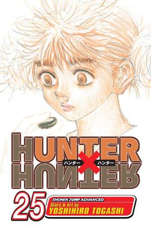 Hunter x Hunter, Volume 25 (Hunter X Hunter)