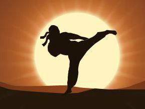 暗影格斗  Shadow Fight