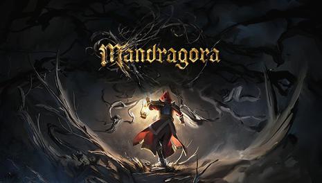 曼陀罗草 Mandragora