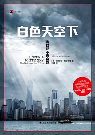 白色天空下 白色天空下