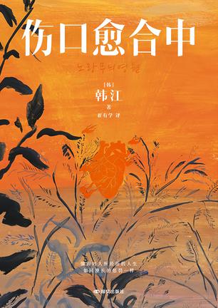 伤口愈合中 伤口愈合中