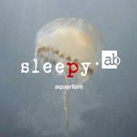 sleepy.ab - Paratroop sleepy.ab - Paratroop