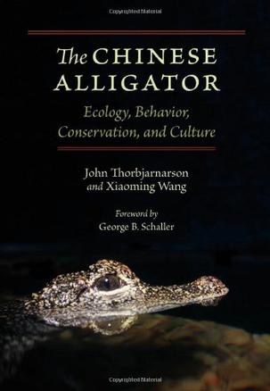 The Chinese Alligator