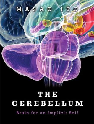 The Cerebellum