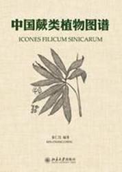 中国蕨类植物图谱
