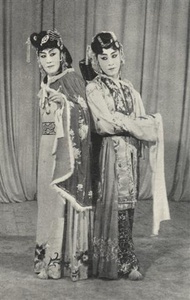 卓文君