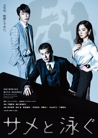 与鲨同游