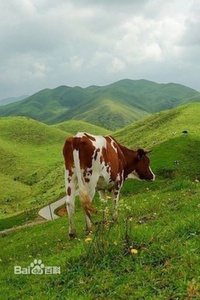 去南山牧场怎么穿搭_南山牧场(3)