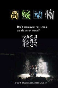 免费观看，我们动物短剧的魅力之旅，免费观看，动物短剧的魅力之旅