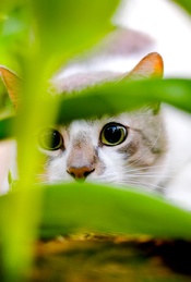 热门活动-天坛情绪小站