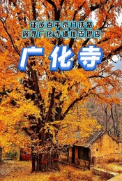 周末 |【广化寺】徒步百年京门铁路-探寻广化寺遗址古银杏(1日)