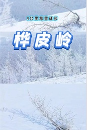 春节:草原天路桦皮岭-9公里踏雪徒步