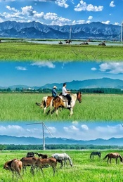 热门活动-【周末1日•京西野骑】骏马疾驰の京西草原20公里野骑路线
