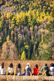 热门活动-嗨翻·山野读书会 | 带一本书去徒步，与自然同频呼吸！