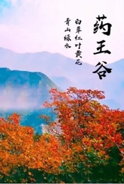 周末1日【药王谷】户外驴友口口相传的泗马沟，登山赏漫山遍野红叶