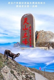 热门活动-【周五晚发•夜爬东灵山】满天繁星-浪漫云海-震撼日出-登顶北京最高