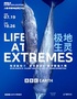 BBC EARTH极地生灵数字影像大展