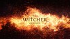 巫师：重制版 The Witcher：Remake